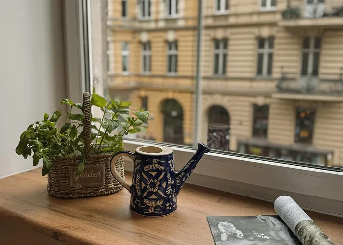 Kamila - Centrum Štetín